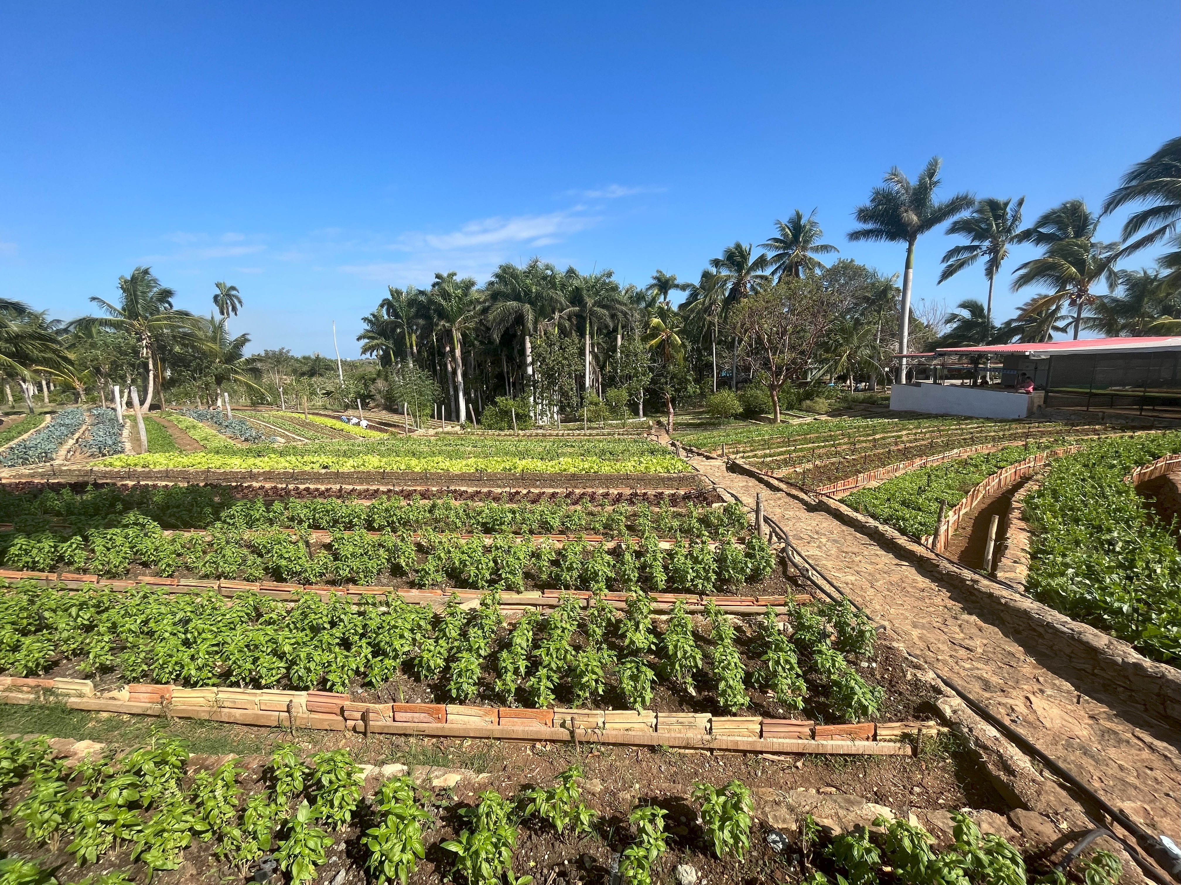 Teaching beyond the classroom: Chira brings students to Cuba